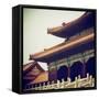 China 10MKm2 Collection - Forbidden City Architecture - Beijing-Philippe Hugonnard-Framed Stretched Canvas