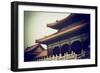 China 10MKm2 Collection - Forbidden City Architecture-Philippe Hugonnard-Framed Photographic Print