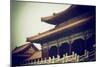 China 10MKm2 Collection - Forbidden City Architecture-Philippe Hugonnard-Mounted Photographic Print