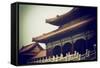 China 10MKm2 Collection - Forbidden City Architecture-Philippe Hugonnard-Framed Stretched Canvas