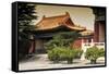 China 10MKm2 Collection - Forbidden City Architecture-Philippe Hugonnard-Framed Stretched Canvas