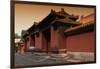 China 10MKm2 Collection - Forbidden City Architecture-Philippe Hugonnard-Framed Photographic Print