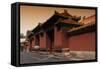 China 10MKm2 Collection - Forbidden City Architecture-Philippe Hugonnard-Framed Stretched Canvas