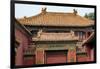 China 10MKm2 Collection - Forbidden City Architecture-Philippe Hugonnard-Framed Photographic Print