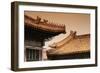 China 10MKm2 Collection - Forbidden City Architecture-Philippe Hugonnard-Framed Photographic Print