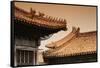 China 10MKm2 Collection - Forbidden City Architecture-Philippe Hugonnard-Framed Stretched Canvas