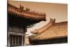 China 10MKm2 Collection - Forbidden City Architecture-Philippe Hugonnard-Stretched Canvas