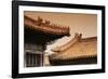 China 10MKm2 Collection - Forbidden City Architecture-Philippe Hugonnard-Framed Photographic Print