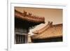 China 10MKm2 Collection - Forbidden City Architecture-Philippe Hugonnard-Framed Photographic Print