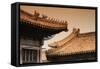 China 10MKm2 Collection - Forbidden City Architecture-Philippe Hugonnard-Framed Stretched Canvas