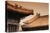 China 10MKm2 Collection - Forbidden City Architecture-Philippe Hugonnard-Stretched Canvas