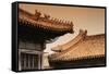 China 10MKm2 Collection - Forbidden City Architecture-Philippe Hugonnard-Framed Stretched Canvas