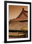 China 10MKm2 Collection - Forbidden City Architecture-Philippe Hugonnard-Framed Premium Photographic Print
