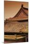 China 10MKm2 Collection - Forbidden City Architecture-Philippe Hugonnard-Mounted Photographic Print