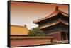 China 10MKm2 Collection - Forbidden City Architecture-Philippe Hugonnard-Framed Stretched Canvas