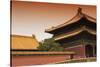 China 10MKm2 Collection - Forbidden City Architecture-Philippe Hugonnard-Stretched Canvas