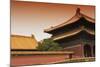 China 10MKm2 Collection - Forbidden City Architecture-Philippe Hugonnard-Mounted Photographic Print