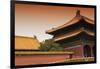 China 10MKm2 Collection - Forbidden City Architecture-Philippe Hugonnard-Framed Photographic Print