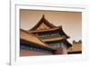 China 10MKm2 Collection - Forbidden City Architecture-Philippe Hugonnard-Framed Photographic Print