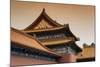 China 10MKm2 Collection - Forbidden City Architecture-Philippe Hugonnard-Mounted Photographic Print