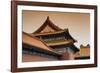 China 10MKm2 Collection - Forbidden City Architecture-Philippe Hugonnard-Framed Photographic Print