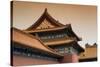 China 10MKm2 Collection - Forbidden City Architecture-Philippe Hugonnard-Stretched Canvas