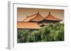 China 10MKm2 Collection - Forbidden City Architecture-Philippe Hugonnard-Framed Photographic Print