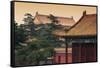 China 10MKm2 Collection - Forbidden City Architecture-Philippe Hugonnard-Framed Stretched Canvas