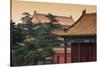 China 10MKm2 Collection - Forbidden City Architecture-Philippe Hugonnard-Stretched Canvas