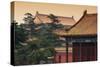 China 10MKm2 Collection - Forbidden City Architecture-Philippe Hugonnard-Stretched Canvas