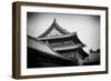 China 10MKm2 Collection - Forbidden City Architecture-Philippe Hugonnard-Framed Photographic Print