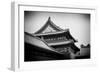 China 10MKm2 Collection - Forbidden City Architecture-Philippe Hugonnard-Framed Photographic Print