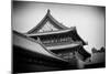 China 10MKm2 Collection - Forbidden City Architecture-Philippe Hugonnard-Mounted Photographic Print