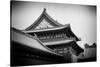 China 10MKm2 Collection - Forbidden City Architecture-Philippe Hugonnard-Stretched Canvas