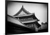 China 10MKm2 Collection - Forbidden City Architecture-Philippe Hugonnard-Framed Photographic Print