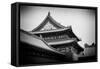 China 10MKm2 Collection - Forbidden City Architecture-Philippe Hugonnard-Framed Stretched Canvas