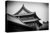 China 10MKm2 Collection - Forbidden City Architecture-Philippe Hugonnard-Stretched Canvas