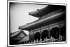 China 10MKm2 Collection - Forbidden City Architecture-Philippe Hugonnard-Mounted Photographic Print