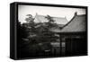 China 10MKm2 Collection - Forbidden City Architecture-Philippe Hugonnard-Framed Stretched Canvas