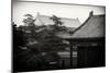 China 10MKm2 Collection - Forbidden City Architecture-Philippe Hugonnard-Mounted Photographic Print