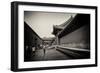 China 10MKm2 Collection - Forbidden City Architecture-Philippe Hugonnard-Framed Photographic Print