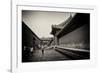 China 10MKm2 Collection - Forbidden City Architecture-Philippe Hugonnard-Framed Photographic Print