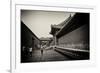 China 10MKm2 Collection - Forbidden City Architecture-Philippe Hugonnard-Framed Photographic Print