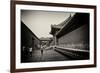 China 10MKm2 Collection - Forbidden City Architecture-Philippe Hugonnard-Framed Photographic Print