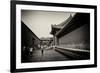 China 10MKm2 Collection - Forbidden City Architecture-Philippe Hugonnard-Framed Photographic Print