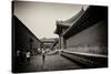 China 10MKm2 Collection - Forbidden City Architecture-Philippe Hugonnard-Stretched Canvas