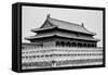 China 10MKm2 Collection - Forbidden City Architecture-Philippe Hugonnard-Framed Stretched Canvas