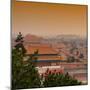 China 10MKm2 Collection - Forbidden City at sunset - Beijing-Philippe Hugonnard-Mounted Photographic Print