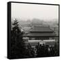 China 10MKm2 Collection - Forbidden City at sunset - Beijing-Philippe Hugonnard-Framed Stretched Canvas