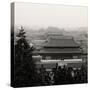 China 10MKm2 Collection - Forbidden City at sunset - Beijing-Philippe Hugonnard-Stretched Canvas